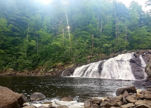 A serene waterfall cascades into a calm pool, surrounded by lush green trees and rocky terrain.
