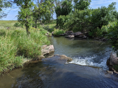 A serene river flows through a lush green landscape, with rocks and trees lining the banks under a clear blue sky.