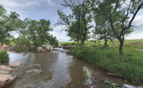 A serene landscape featuring a calm stream surrounded by trees and grassy banks under a cloudy sky.