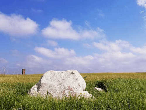 A large white rock sits in a grassy field under a blue sky with clouds, with a sign visible in the background.