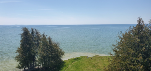 A serene view of a calm lake with green grass and trees along the shore under a clear blue sky.