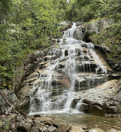 A serene waterfall cascading over rocky terrain, surrounded by lush green trees and foliage.