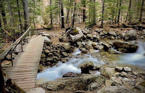 A wooden bridge crosses a rocky stream in a lush forest, with trees surrounding the tranquil scene.