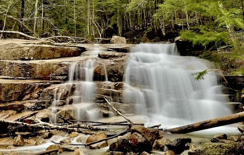 A serene waterfall cascades over rocky steps, surrounded by lush green trees and fallen branches.