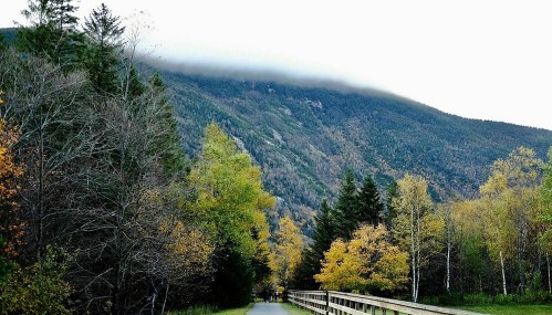 A scenic pathway lined with trees leads towards a mountain shrouded in clouds, showcasing autumn colors.