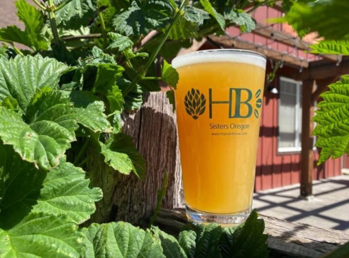 A glass of beer sits on a wooden surface, surrounded by green leaves, with a rustic building in the background.
