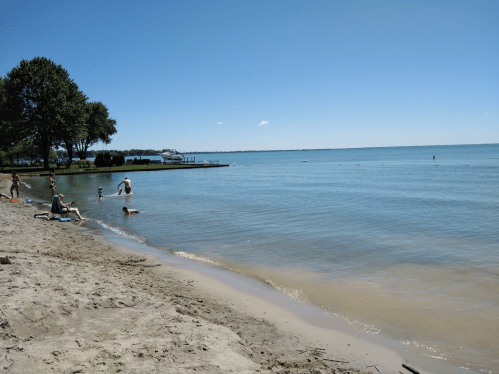 A sunny beach scene with people swimming and playing near calm water, surrounded by trees and a clear blue sky.
