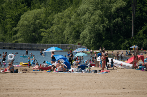 A busy beach scene with people sunbathing, swimming, and relaxing under umbrellas by the water.