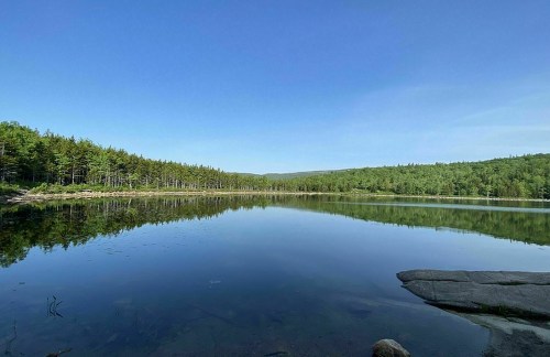 A serene lake surrounded by lush green trees under a clear blue sky, reflecting the landscape in calm waters.