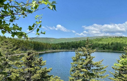 A serene lake surrounded by lush green trees under a clear blue sky with fluffy white clouds.