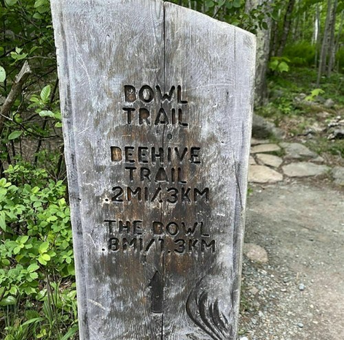 Wooden trail sign indicating "Bowl Trail," "Beehive Trail," and distances in miles and kilometers. Surrounded by greenery.