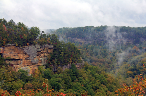 A misty landscape featuring rocky cliffs and lush green forests under a cloudy sky.