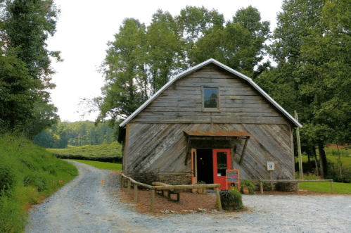 A rustic wooden barn with a red door, surrounded by trees and a gravel path leading into the countryside.
