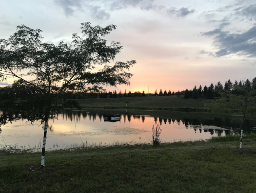 A serene pond at sunset, surrounded by trees and grassy banks, with a soft pink and purple sky reflecting on the water.