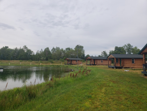 A serene landscape featuring wooden cabins by a pond, surrounded by lush greenery and a cloudy sky.