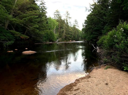 A serene river scene surrounded by lush greenery and trees, with smooth rocks and a sandy bank.