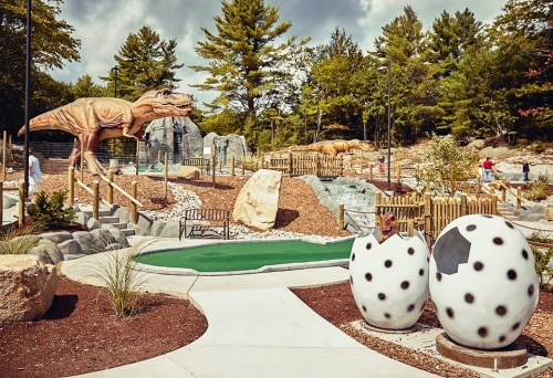 A dinosaur-themed mini-golf course featuring a large T-Rex statue and egg-shaped obstacles among greenery and rocks.