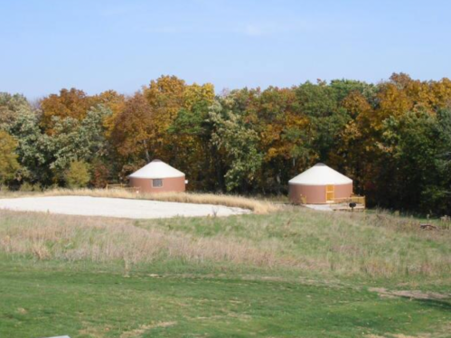 Two round, tan yurts surrounded by trees with autumn foliage and a sandy area in the foreground. Clear blue sky above.