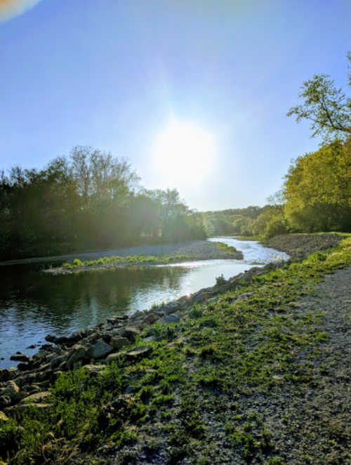 A serene river scene with sunlight reflecting on the water, surrounded by trees and a clear blue sky.