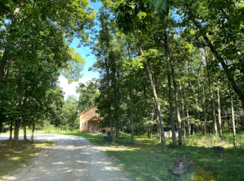 A gravel path leads to a wooden house surrounded by lush green trees under a clear blue sky.