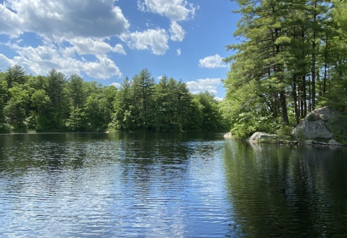 A serene lake surrounded by lush green trees under a partly cloudy sky. Reflections shimmer on the water's surface.