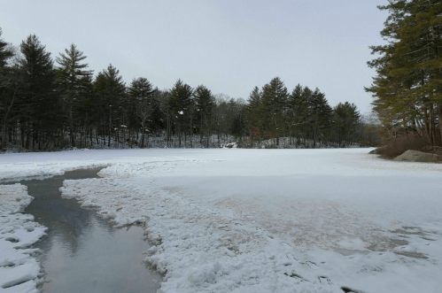 A snowy landscape with a frozen lake, surrounded by evergreen trees and a cloudy sky.