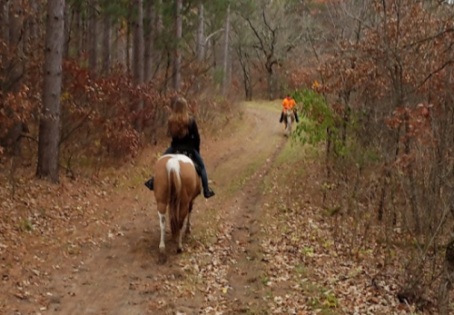 Two riders on horseback navigate a wooded trail in autumn, surrounded by trees and fallen leaves.