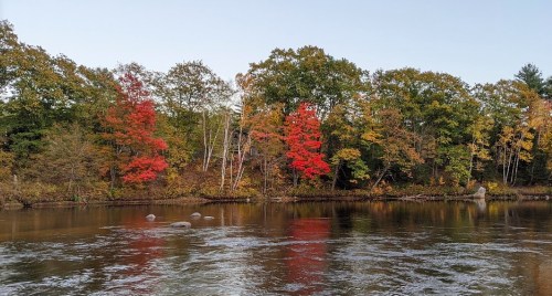 A serene river scene with colorful autumn trees, including vibrant red and orange leaves, reflecting on the water.