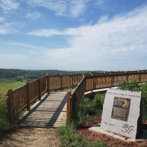 A wooden overlook path leads to a scenic view of rolling hills under a blue sky, with a stone marker nearby.