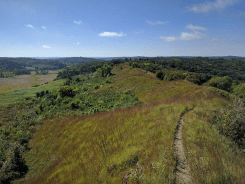 A scenic view of rolling hills and lush greenery under a clear blue sky, with a winding path through the grass.