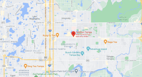 Map showing the location of TeaStori Tampa, near University Square and various parks in the area.