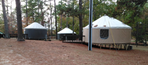 Three yurts on wooden platforms surrounded by trees and fallen leaves in a forested area.