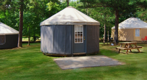 A cluster of yurts in a green, wooded area, with picnic tables and a clear blue sky.
