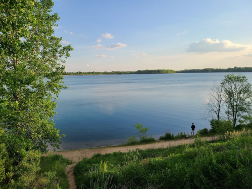 A serene lake view with a person standing by the shore, surrounded by lush greenery and a clear blue sky.