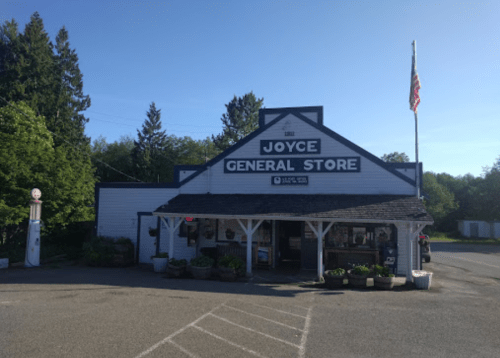 A quaint general store with a sign reading "Joyce General Store," surrounded by greenery and a clear blue sky.