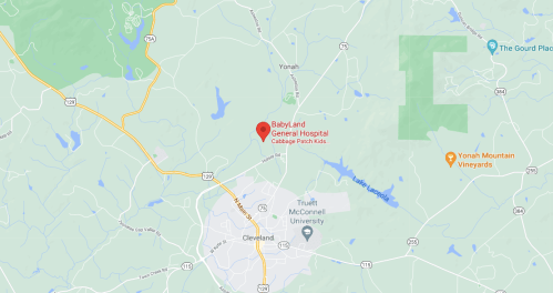 Map showing the location of BabyLand General Hospital near Cleveland, Georgia, with nearby landmarks and roads.