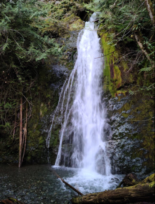 A serene waterfall cascading over moss-covered rocks, surrounded by lush green trees and a tranquil pool below.