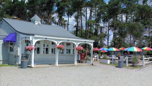 A charming outdoor eatery with colorful umbrellas, flower baskets, and a gravel path surrounded by trees.