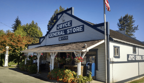 A charming general store with a sign reading "Joyce General Store," surrounded by flowers and trees under a clear blue sky.