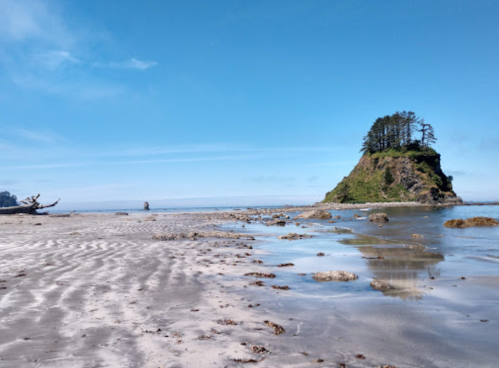 A serene beach scene with a rocky island, clear blue sky, and gentle waves reflecting on the sand.