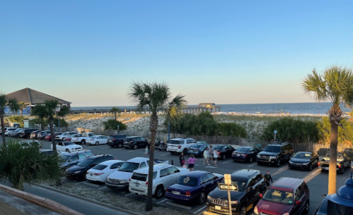 A beach scene with a pier in the distance, palm trees, and a parking lot filled with cars under a clear blue sky.