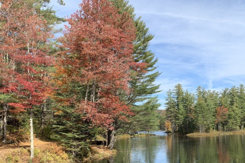 A serene lake surrounded by trees with vibrant autumn foliage in shades of red and green under a clear blue sky.