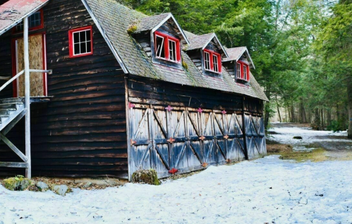 A rustic black barn with red windows and doors, surrounded by snow and trees in a serene winter landscape.