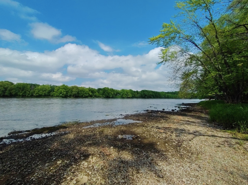 A serene riverbank scene with a calm river, lush green trees, and a partly cloudy blue sky.