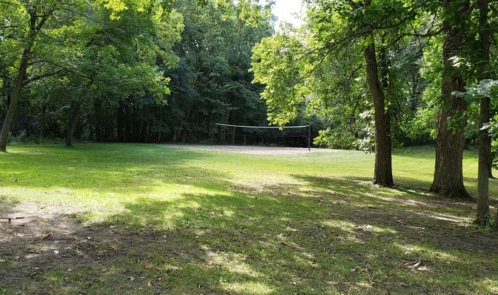 A sunny, green park with trees and a volleyball net set up in a grassy area.