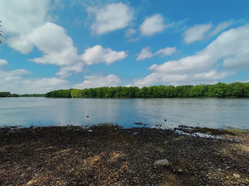 A serene river scene with a clear blue sky, fluffy clouds, and lush green trees lining the water's edge.