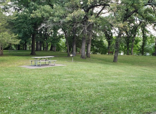 A grassy park area with a picnic table surrounded by trees and greenery.