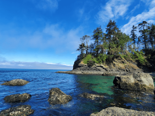 A serene coastal scene featuring rocky shores, clear blue water, and lush trees under a bright sky.