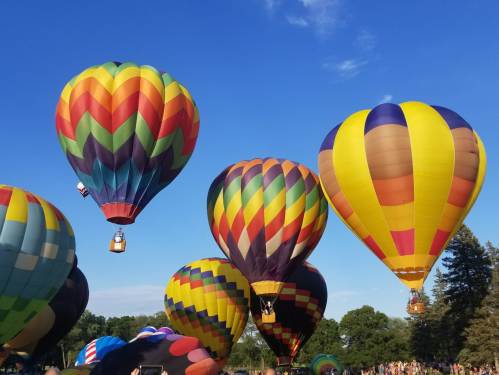 Colorful hot air balloons ascend against a clear blue sky, surrounded by green trees and a crowd below.