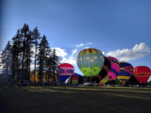 Colorful hot air balloons inflate against a blue sky, surrounded by trees and spectators on a grassy field.